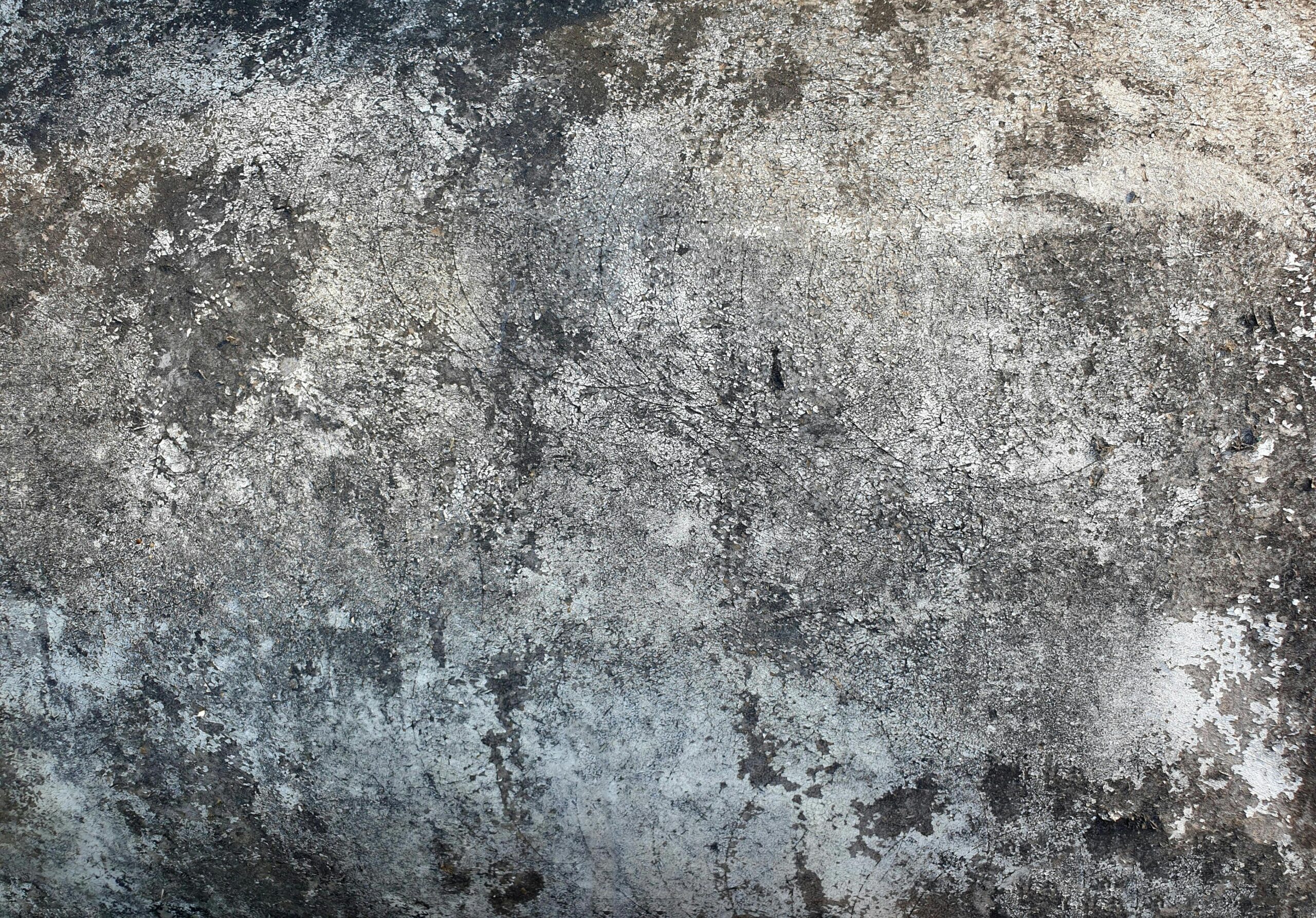 The Ultimate Guide to Decorative Concrete: Stamped, Stained, and More